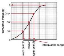 img-237.jpeg
