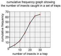 img-242.jpeg